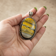 Sterling Silver Bumble Bee Jasper Collector Pendant